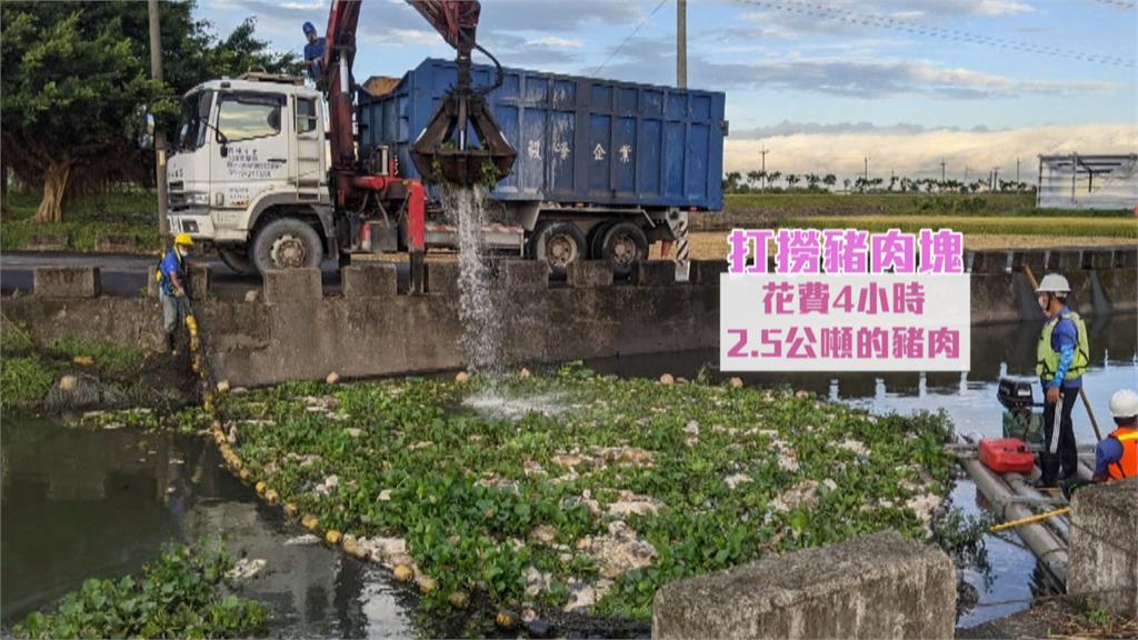 深夜載一卡車2.5噸死豬肉 惡劣丟棄壯圍大排