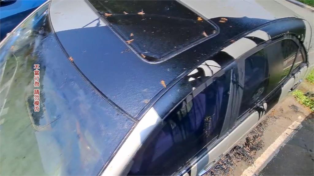 愛車放堤外停車場遭潑瀝青 板金、擋風玻璃全毀怒報警