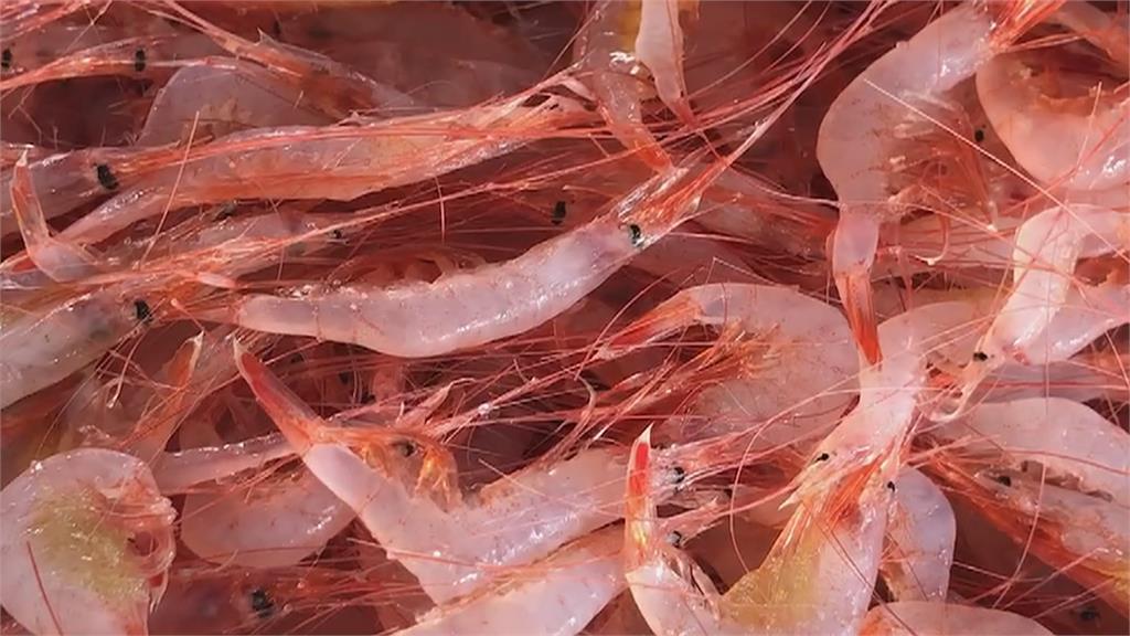 最冷節氣「大寒」來了…該吃啥補身體?專家曝3招「用台灣海產養生」