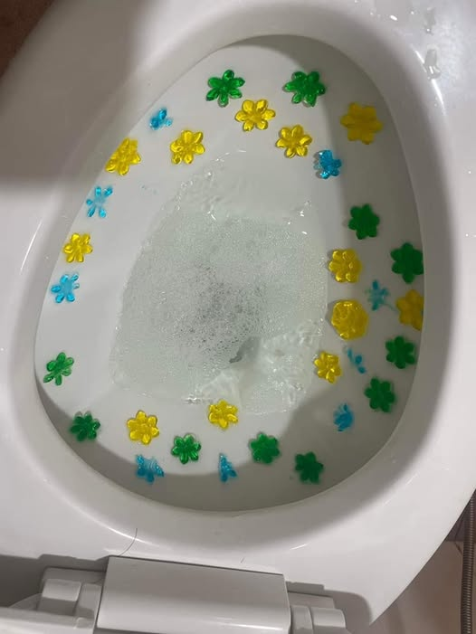 小孩上完廁所後「馬桶長滿花」媽媽大崩潰!網友一看笑翻:不香嗎XD