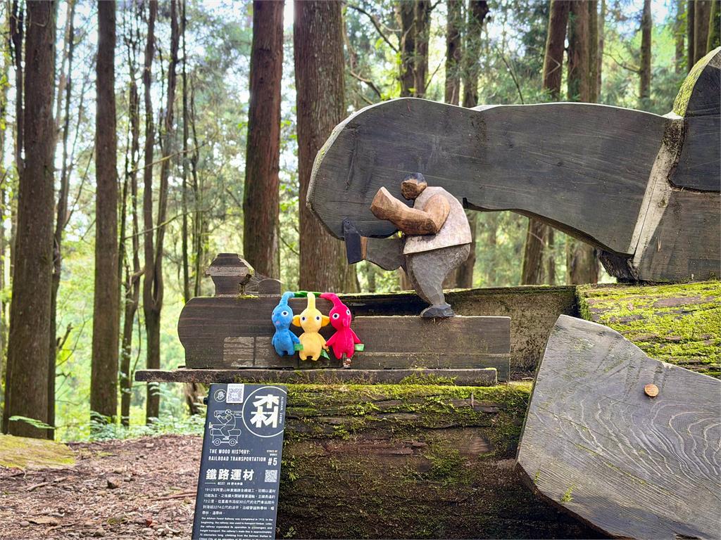 皮友集合!出遊一次雙重體驗 三大連假上山探索嘉義,「鄒遊季」祭出600份好禮等你