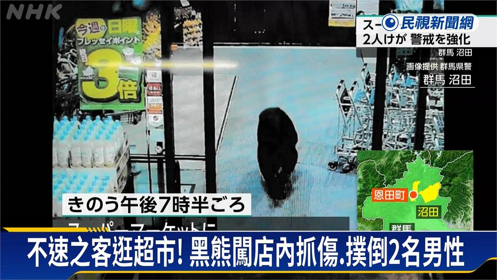日本熊攻擊事件創新高 黑熊闖群馬縣超市「抓傷2人」