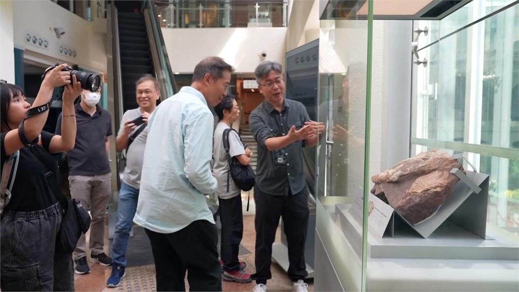 香港首次發現！　赤洲出土恐龍化石吸引民眾圍觀