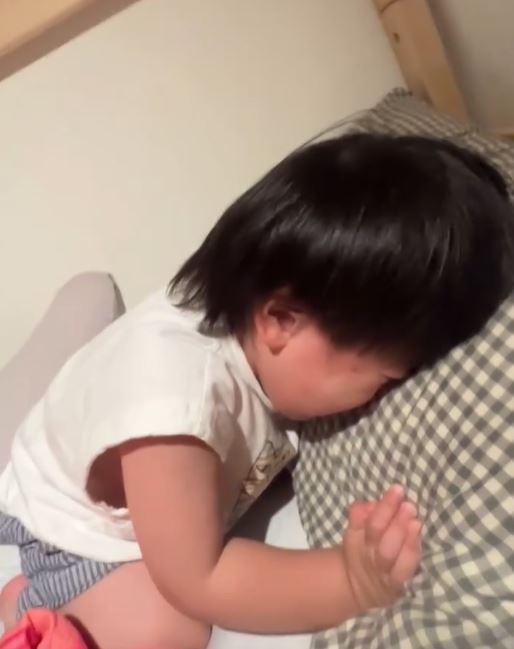 蔡英文有新工作！變「幼童情緒穩定師」　小孩一聽名字秒不哭