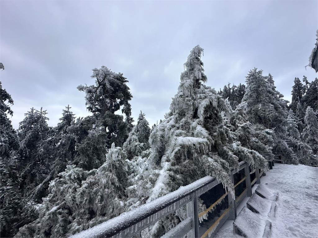 快新聞/低溫挾水氣!合歡山3月「11.5公分」積雪未退 銀白美景曝光
