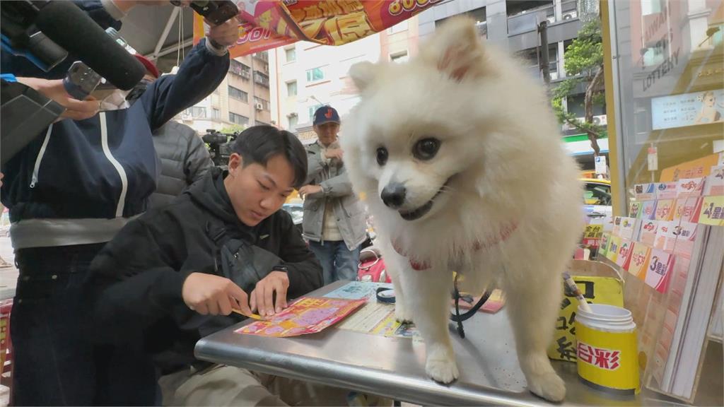 阻車手騙上千萬金塊！　刑警轉職保鑣大開眼界