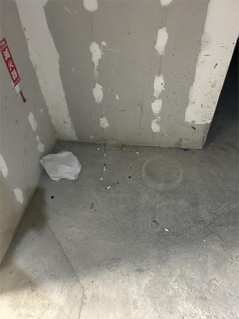 快新聞/顏若芳爆大巨蛋違法施工還滿地菸蒂 批蔣萬安被遠雄騎到頭上