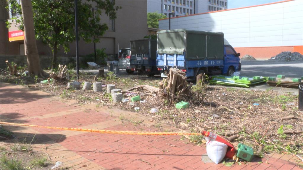 快新聞／台北樹蔭不見了？連俞涵、温貞菱痛心發聲　議員嘆：已成跨黨派議題