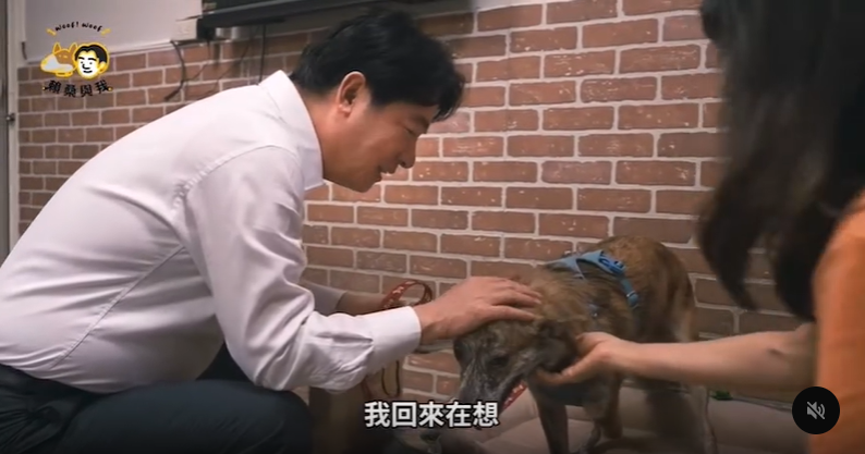 賴清德昔認養斑斑畫面流出！滿臉愧疚突「問這1事」逼哭全網：總統好有愛
