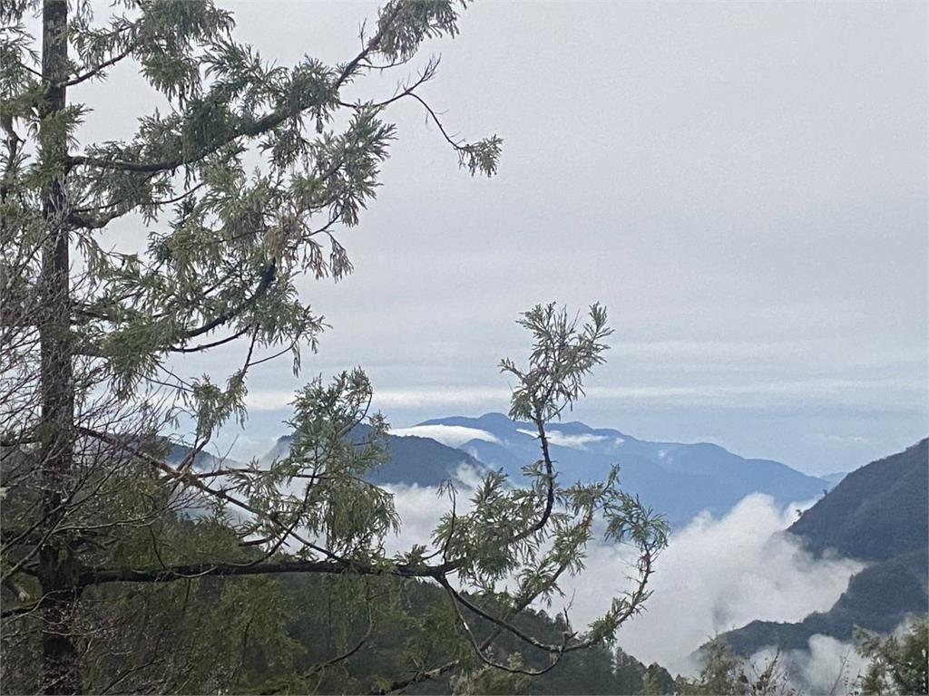 快新聞/氣溫下探0度未飄雪 宜蘭太平山「日出美景」曝光