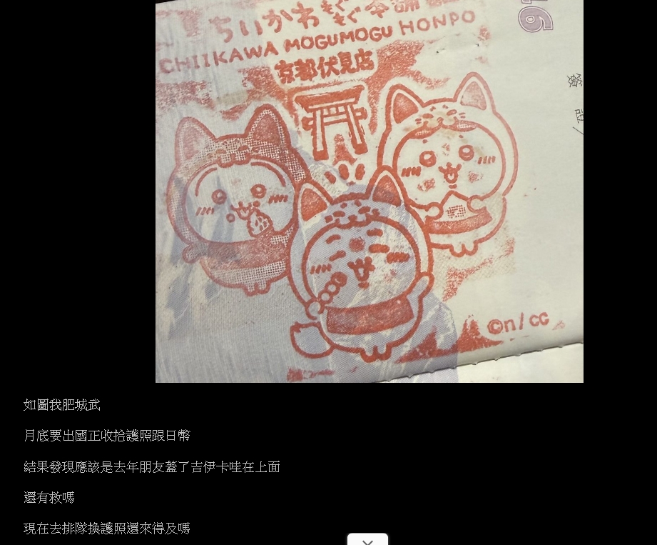 友在護照蓋「吉伊卡哇印章」他出國前才發現！網笑「改去中國」：他們不看這本