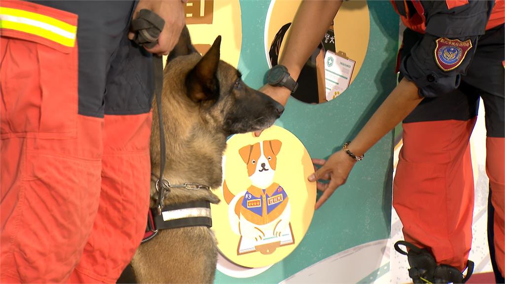 守護國家汪汪隊! 農業部「執勤犬全面納保」上路