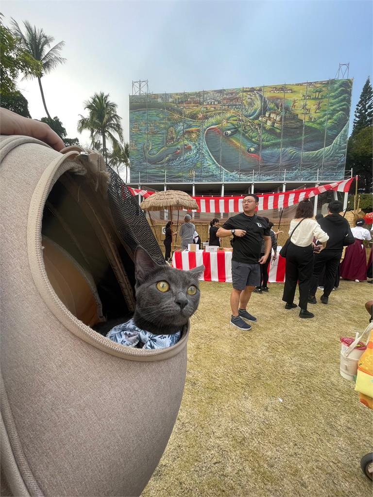 台南文化景點寵物友善 2/17-4/6帶著毛孩入園抽好禮