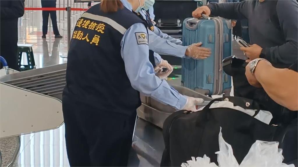 非洲豬瘟肆虐全球77國淪陷!防堵疫情 陳建仁赴桃機視察檢疫作業