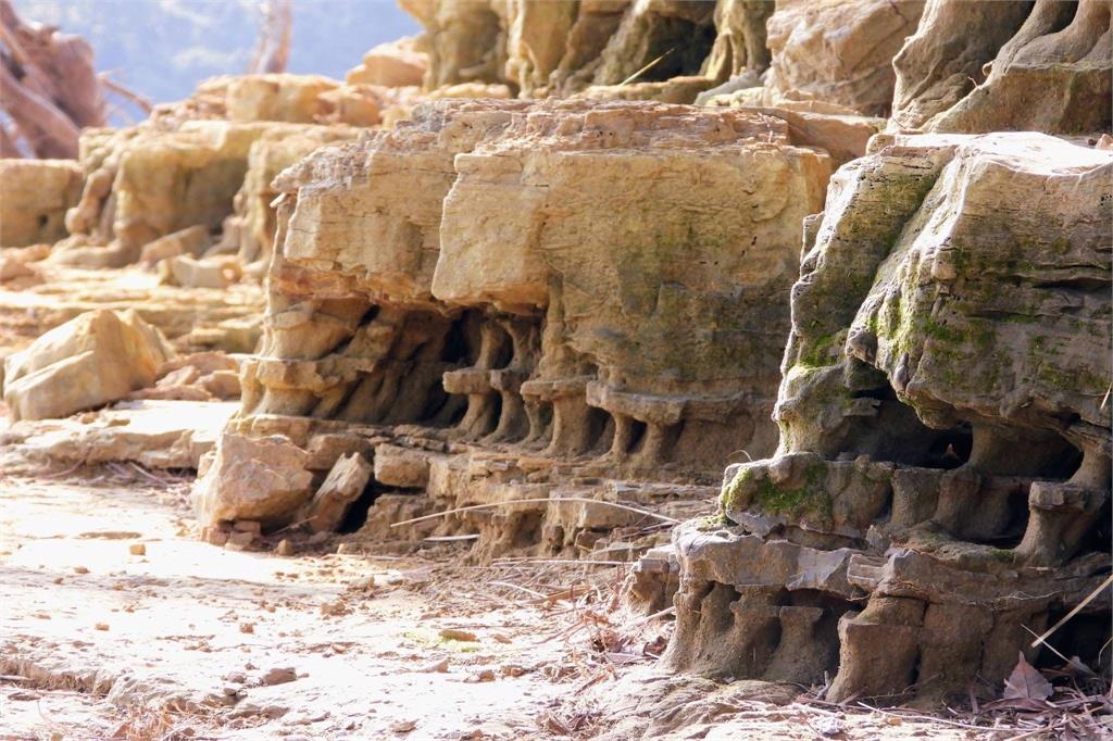 水情拉警報！苗栗３水庫蓄水量腰斬　土地公廟露出激似「希臘神殿」