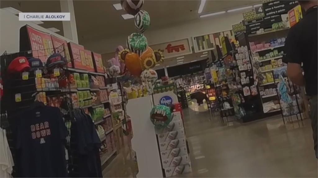 美國超市遭熊入侵閒逛 店員嚇壞 急疏散店內人員
