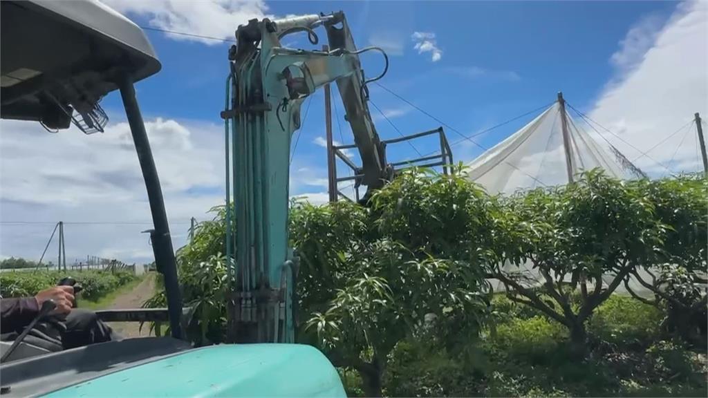 準丹娜絲步步進逼! 東琉線週日全天候停航