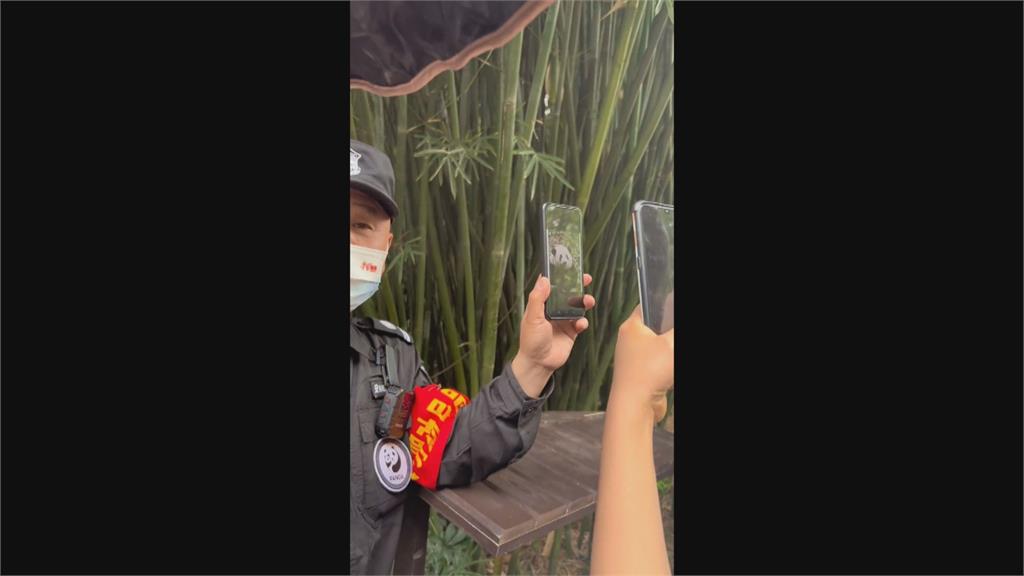 搶拍熊貓身影!中國遊客擠爆成都基地 保全出奇招疏散人潮笑翻網
