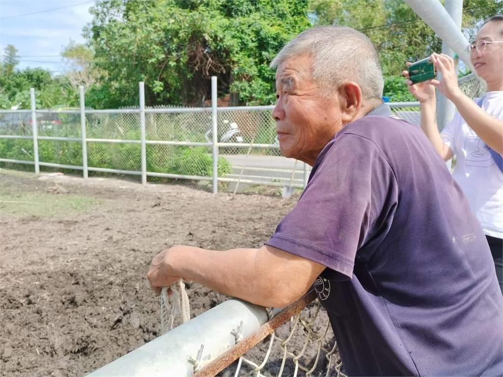 雲林虎尾最後1隻水耕牛正式退休　伴10年老農不捨喊：去過好日子吧！