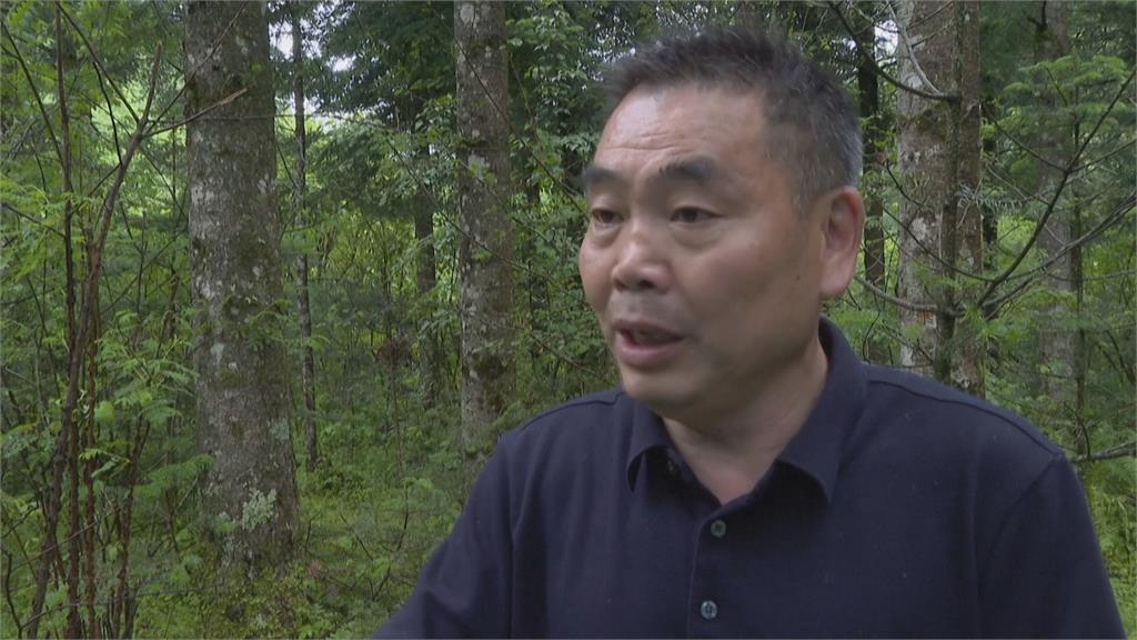 最美靈長類！中國川金絲猴遭濫捕、失去棲息地　成瀕危動物