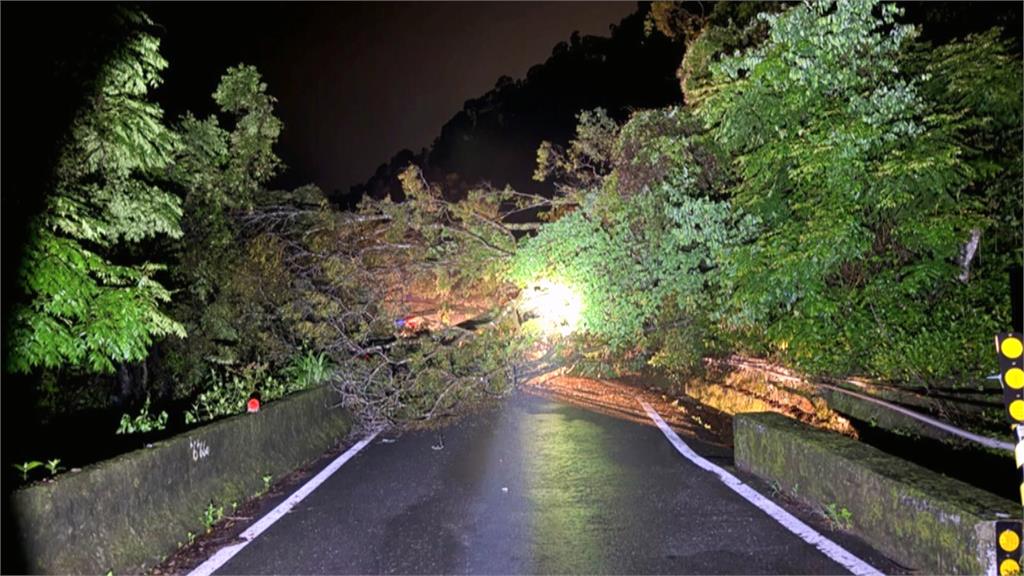 屏東山區樹倒憂交通中斷! 警協助接送山上居民至檢查哨