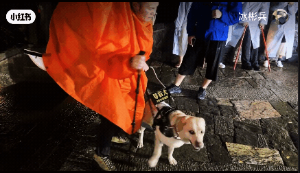 導盲犬全身溼透還遭「盲杖狂敲」！視障夫妻爬山虐狗行徑曝光…全網氣炸