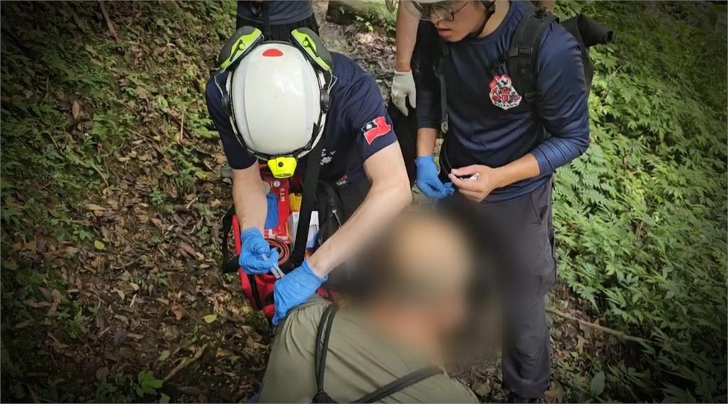 異言堂／聞「蜂」喪膽 登山搜救隊員遭虎頭蜂螫死 專家教自保之道