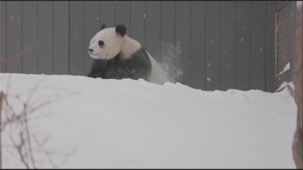 美國風雪奪命！七州進入緊急狀態　交通事故頻傳釀死傷