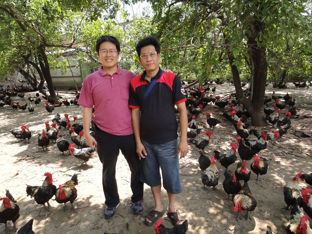 中元節肉品需求升溫!鴕鳥獸醫郭旭英:肉價應回歸市場機制