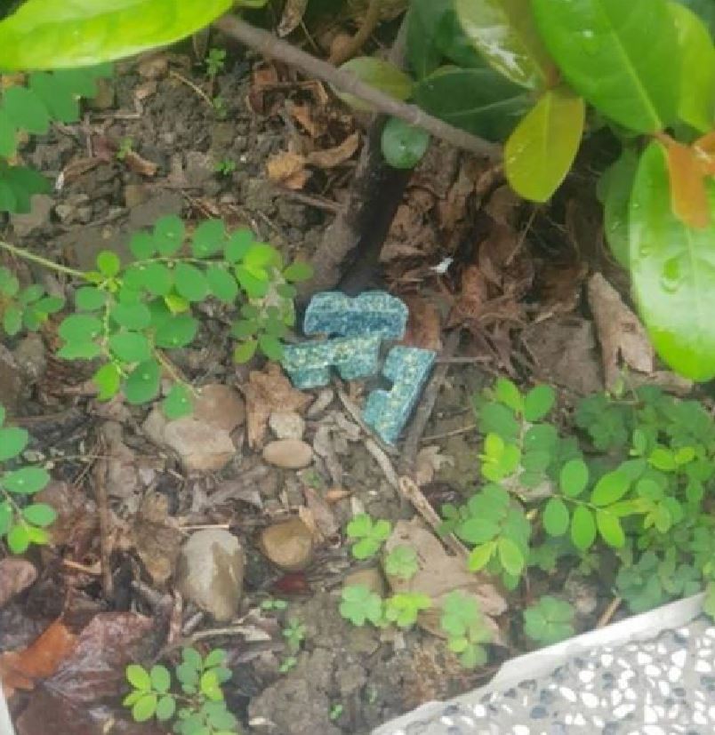 快新聞／台北橫行鼠輩！許淑華驚爆：市府只開3次會「蔣萬安僅主持1次」
