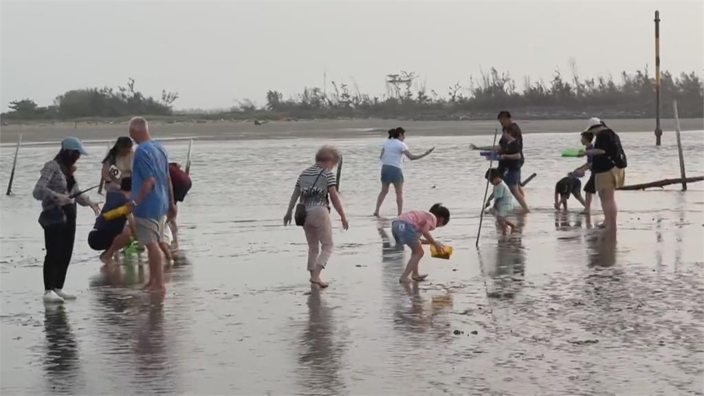 候鳥遷徙中繼站　嘉縣推親子賞鳥主題活動