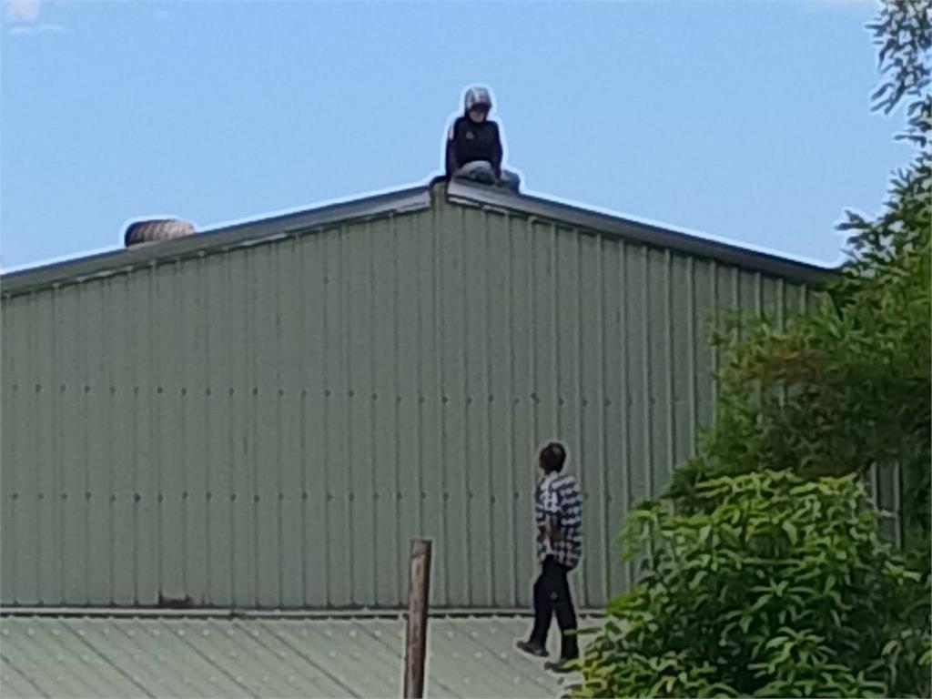 壯圍哈密瓜正值產期引賊 逃逸移工偷瓜爬屋頂與警對峙