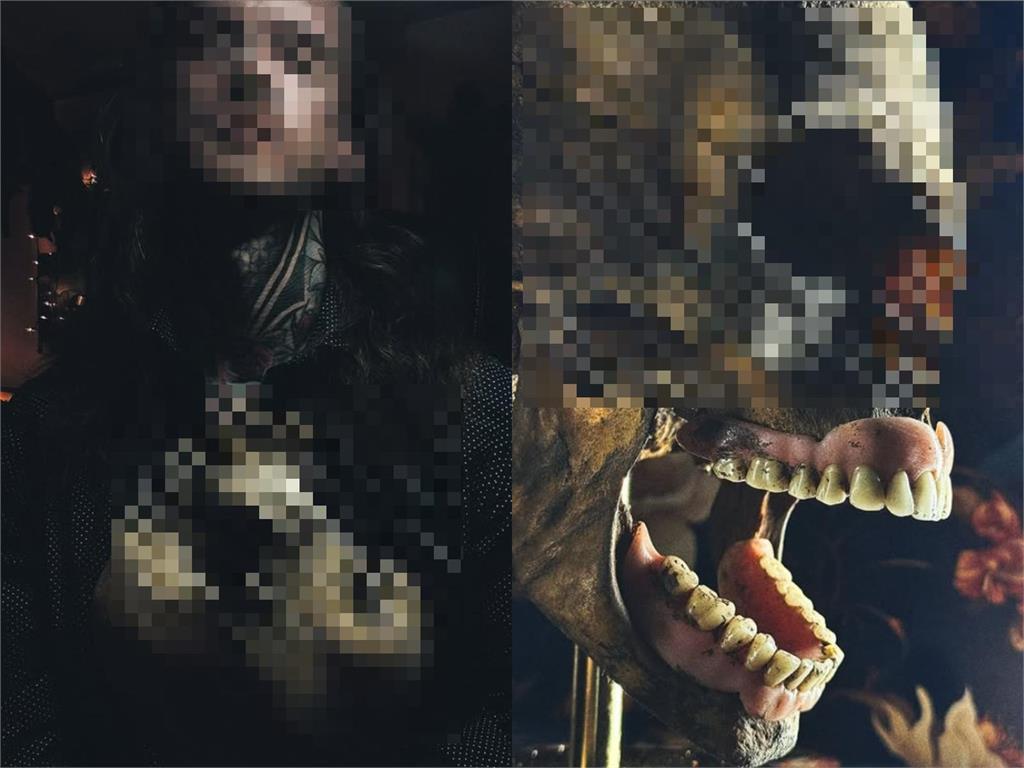 慎入／盜墓狂「私藏100具人骨」公墓挖寶帶回家！遺體「擺後座裝車」被撞破