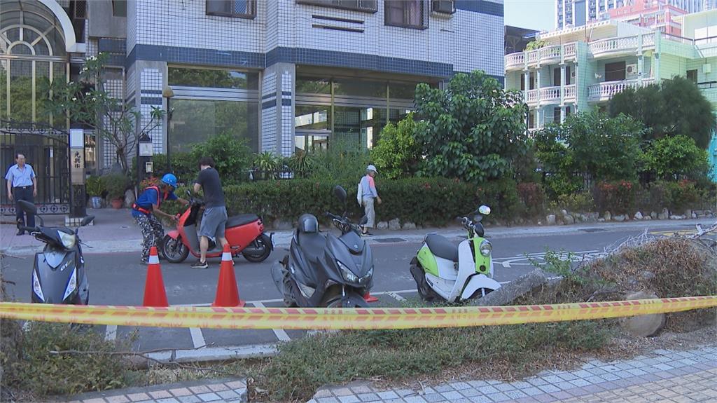 高雄河堤人行道颱風後毀損慘 半年後未修繕?水利局回應了