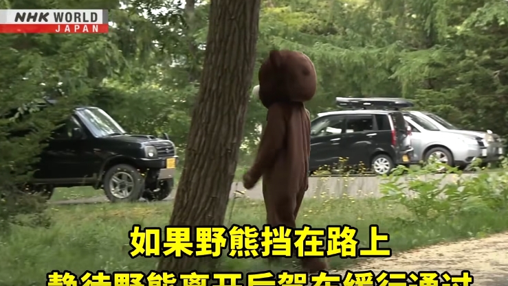 日本野熊攻擊釀10起死亡事件!電視台自製「模擬自保片」網歪樓:失去危機感