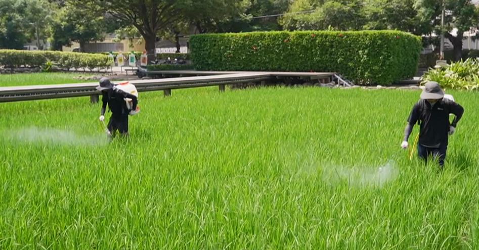 民間投入1.5億作核心研發資源 與興大共建農業「質譜AI中心」