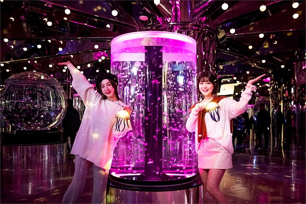 2025春節打卡首選 綺麗的四季之夜水母藝術燈節