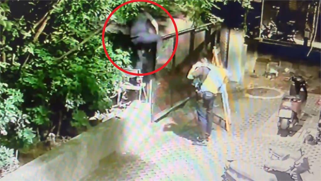 快新聞／給讚！瑞芳1奶貓疑遭遺棄　3暖警合力救援、協助送養