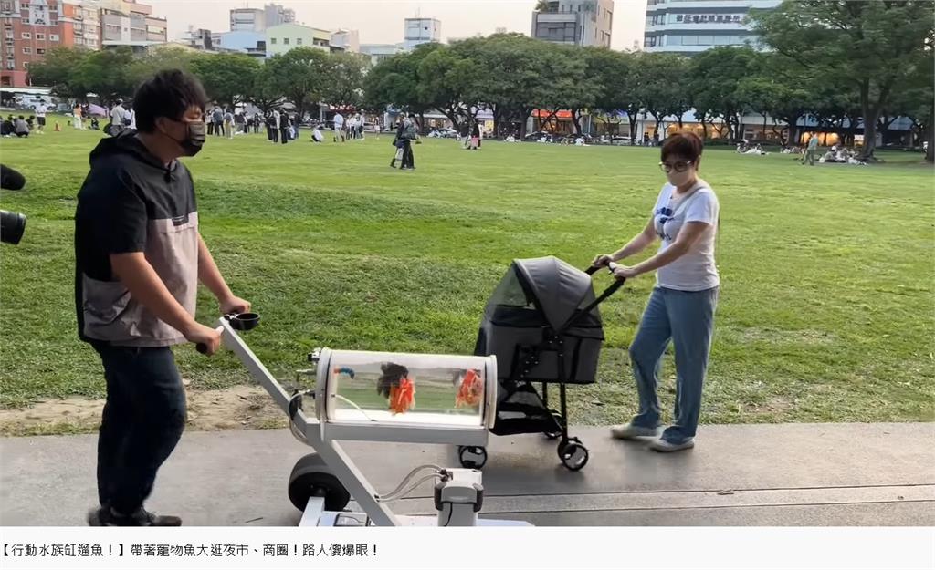  改造推車「上街遛金魚」！飼主竟是「55萬粉網紅」超狂身份曝光