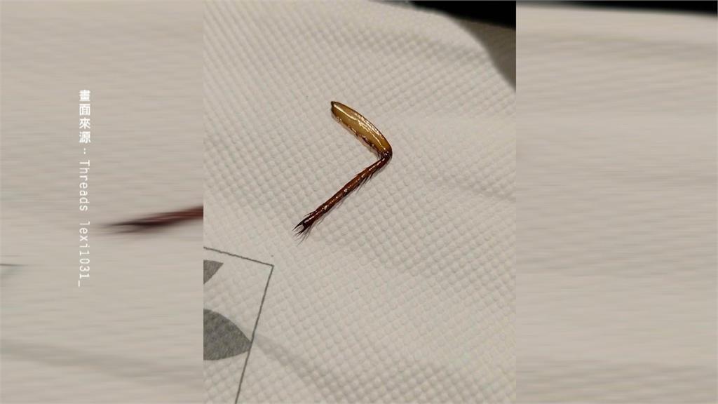 這是誰的腳？Buffet吃到異物　酒店業者：是蝦腳非蟑螂腳