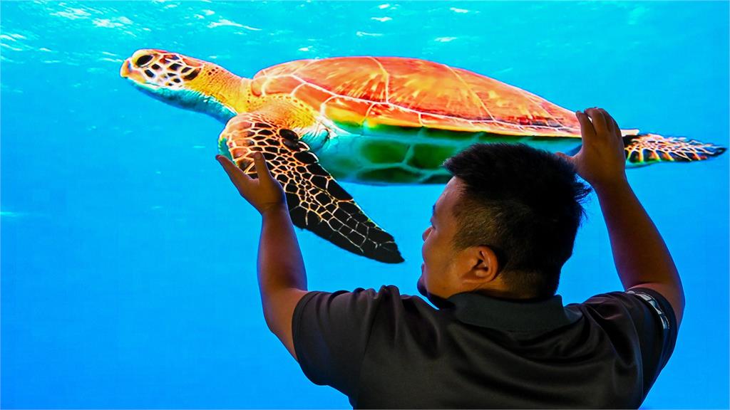 翻轉海洋視界!海生館首創沉浸式弧形LED攝影棚震撼登場
