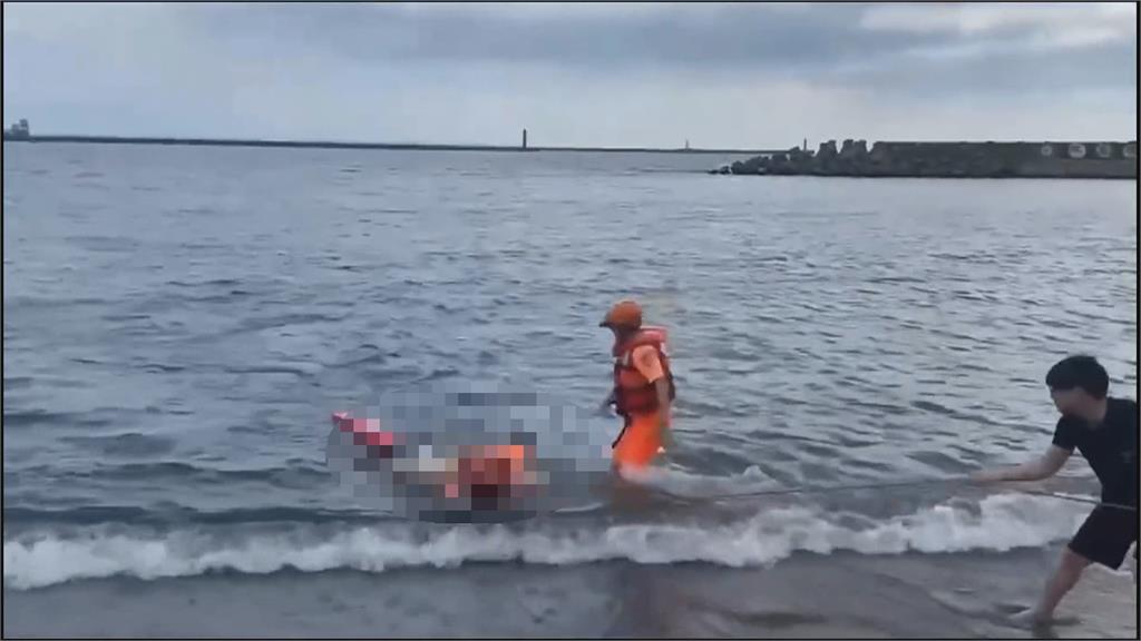離奇! 76歲男海泳遭3犬攻擊狂咬身體溺斃