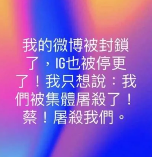 快新聞／大S死訊撼全台　曾在社群發「蔡！屠殺我們」惹議