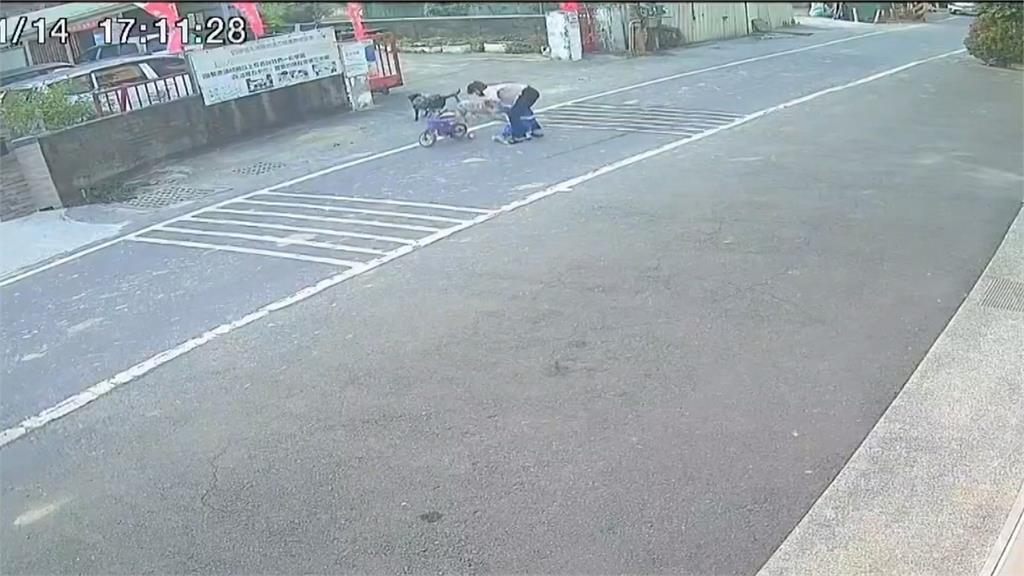 高雄大寮惡霸雙犬突暴衝追人！　嬤騎車載孫路過煞車不及慘摔