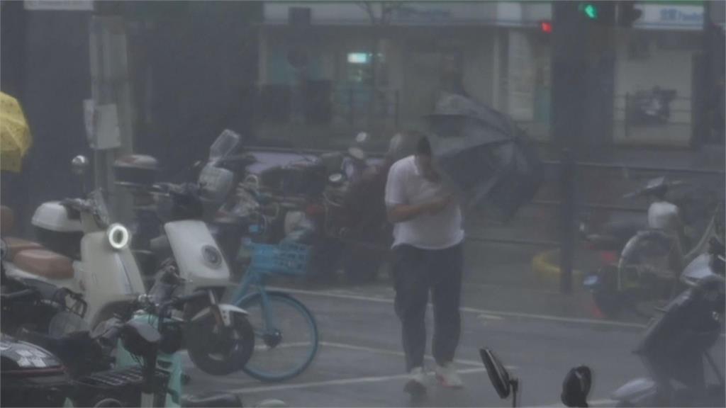 白海豚狂風暴雨橫掃 上海大淹水民眾公園游泳警察逮人