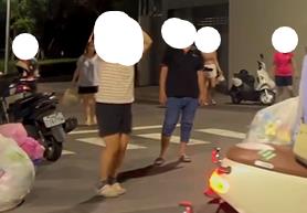 台南蚊子大狂出籠 倒垃圾民眾狂揮電蚊拍