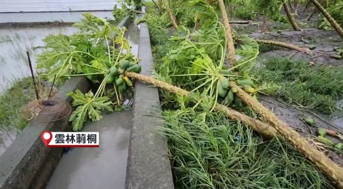 颱風雨狂炸釀災！　麥寮霄仁厝「整村」都泡在水裡