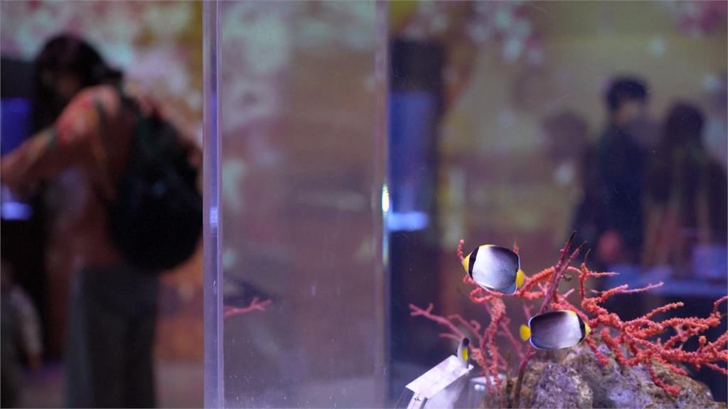 日本櫻花季來臨！　東京水族館期間限定櫻花光雕秀超夢幻