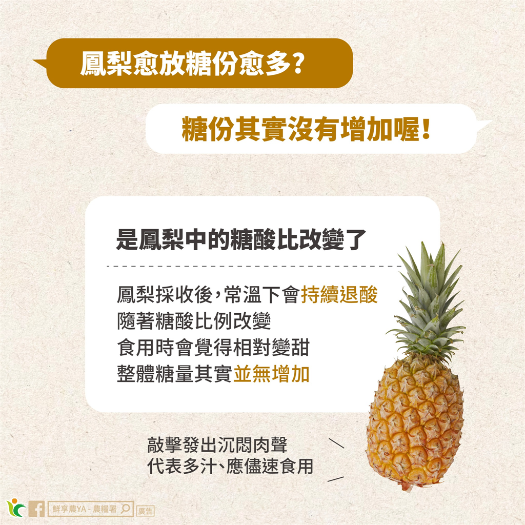 鳳梨配芒果吃會出問題?農糧署闢謠3迷思:放越久越甜其實是1比例變了