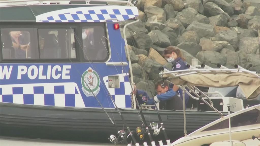 離奇！雪梨外海鯨魚撞翻海釣快艇　船上61歲男昏迷不治